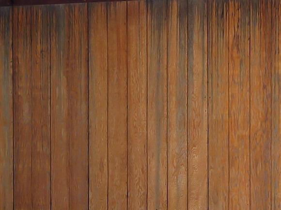 mold forming on wood siding